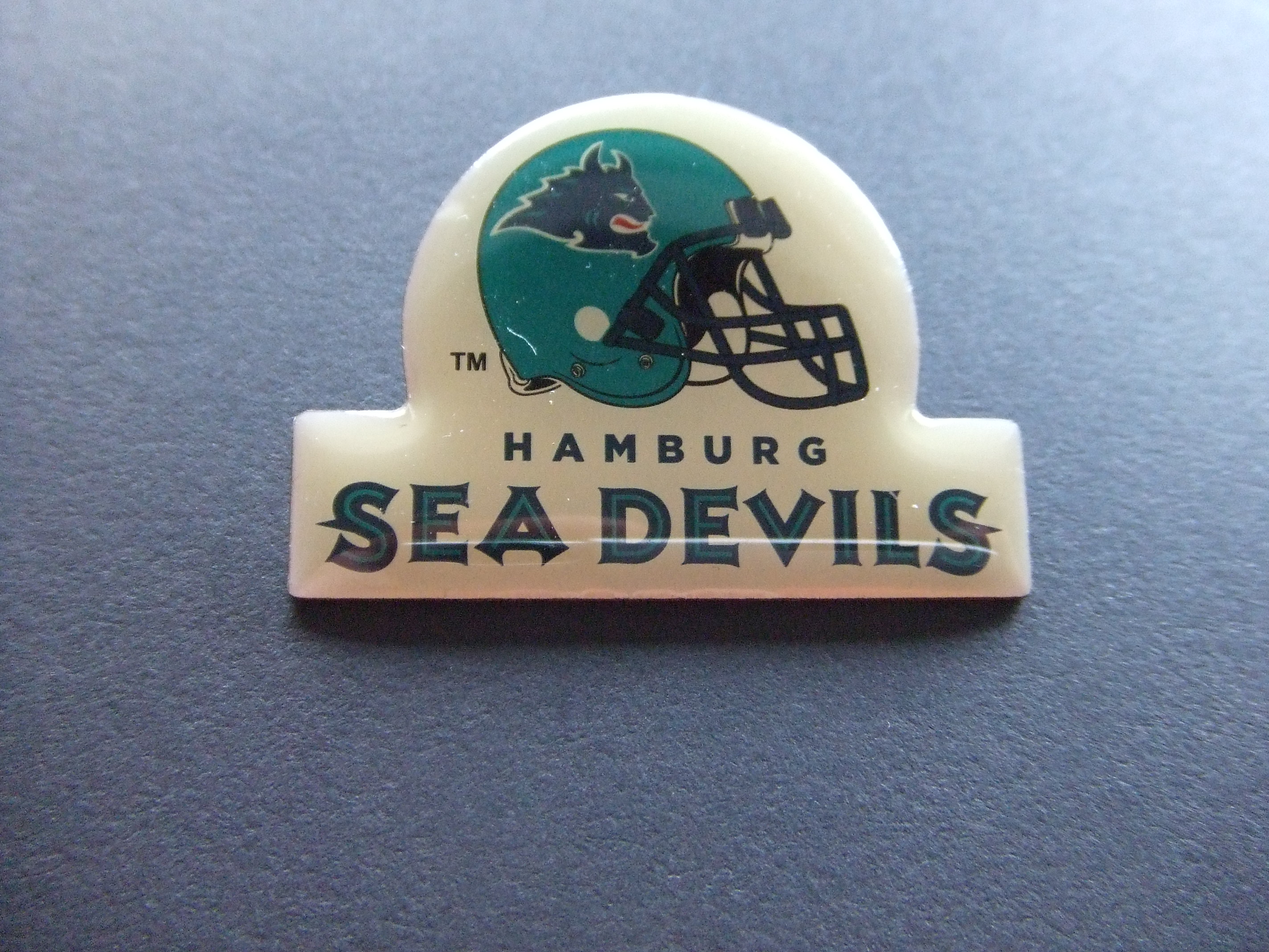 American football The Hamburg Sea Devils